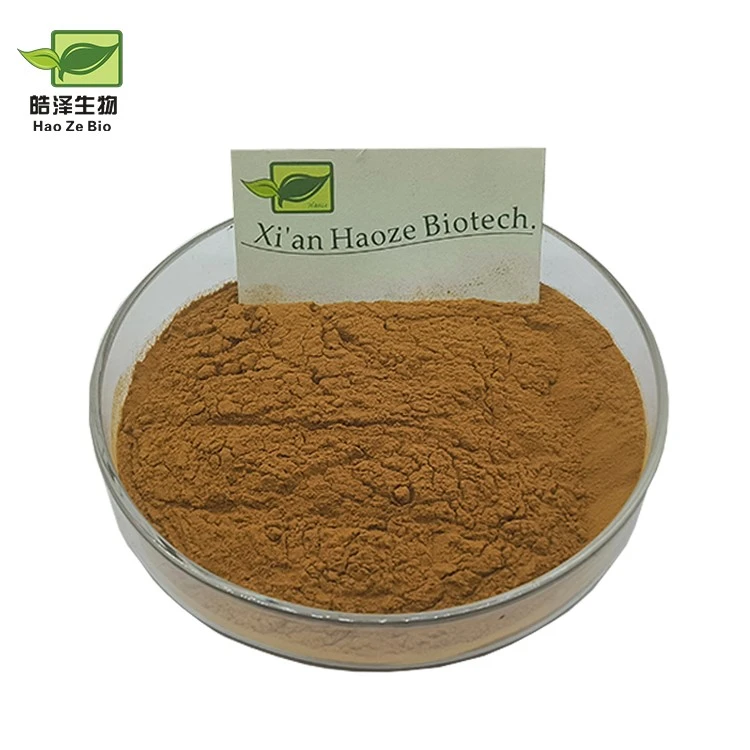 bacopa monnieri extract 2 bacopa monnieri extract 2