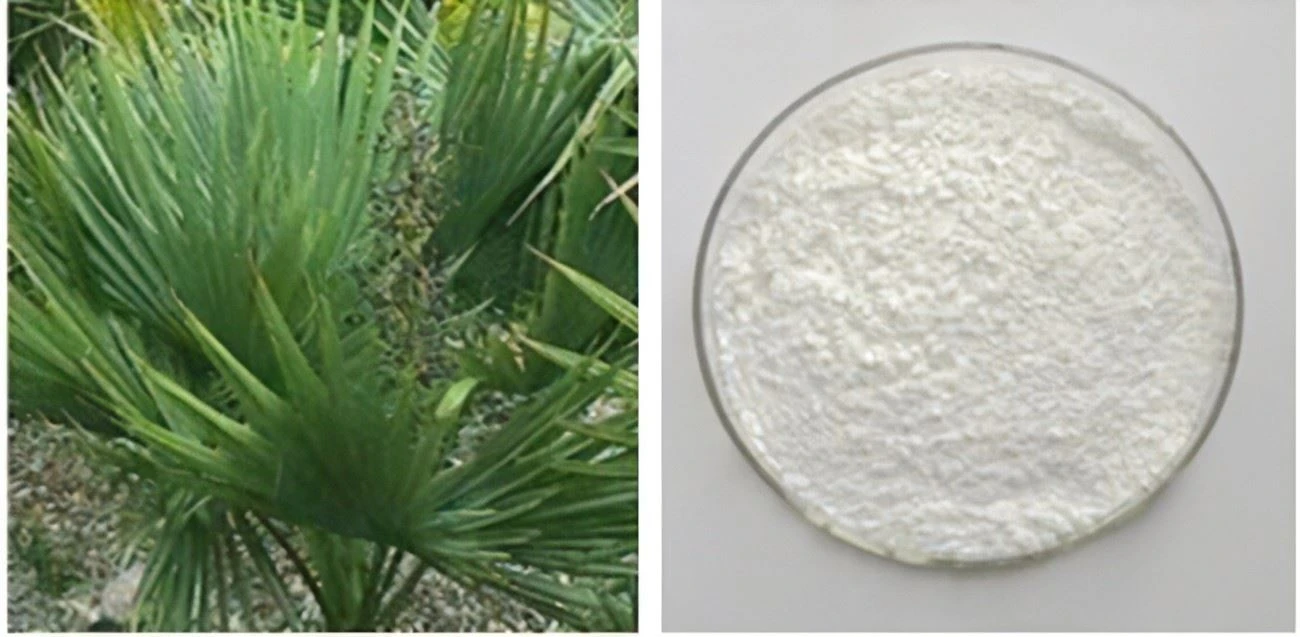 Serenoa Repens extract powder