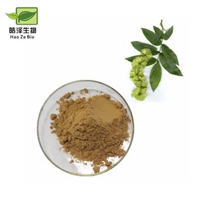 Cyclocarya Paliurus-Extrakt