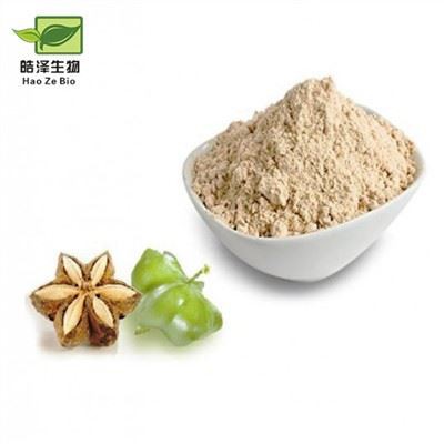 Sacha-Inchi-Extraktpulver