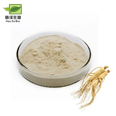Ginseng Extrakt